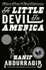 Book cover for A little devil in America.