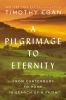 Book cover for "A pilgrimage to eternity"