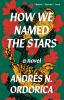 Book cover for "How we named the stars"