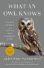 Book cover for "What an owl knows"