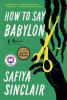 Book cover for "How to say Babylon"